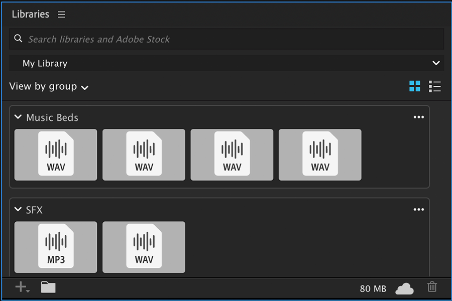 Premiere Pro Audio File Support In Libraries